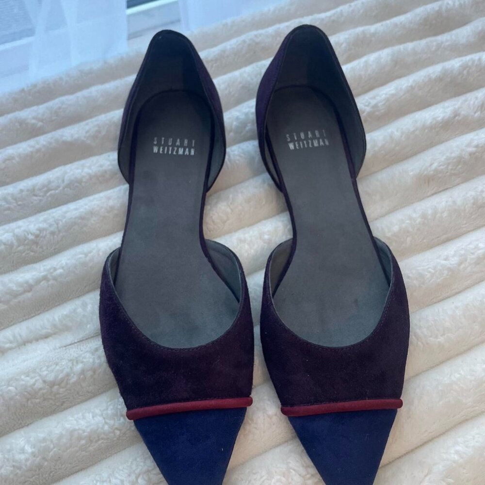 Stuart Weitzman Purple and Blue Flats